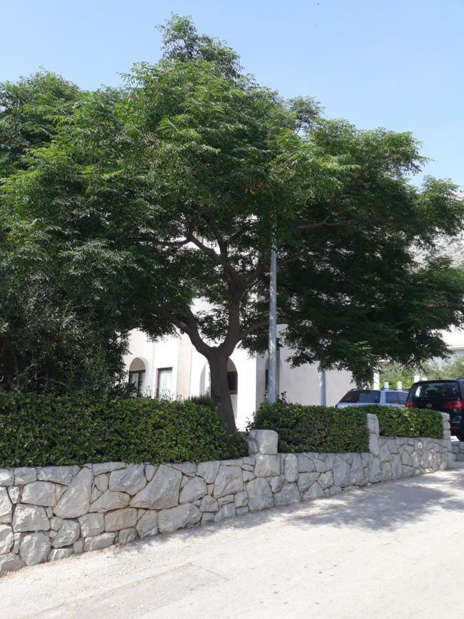 Apartments Erceg 奥米什 外观 照片
